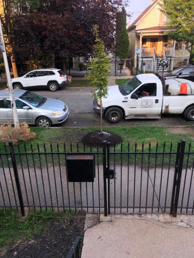 Logan Square Modern Apartment 시카고 외부 사진